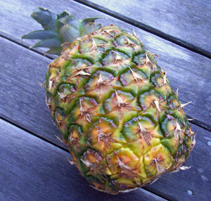 pineapple.jpg