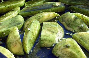 uncookedspirulinawedges.jpg